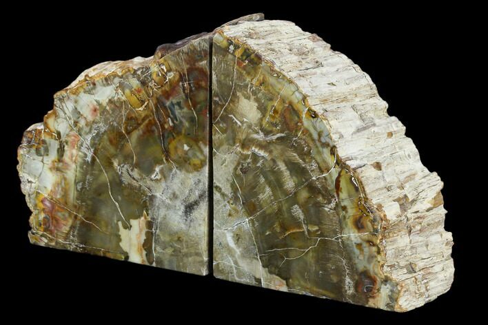 Tall, Colorful Petrified Wood Bookends - Madagascar #129940